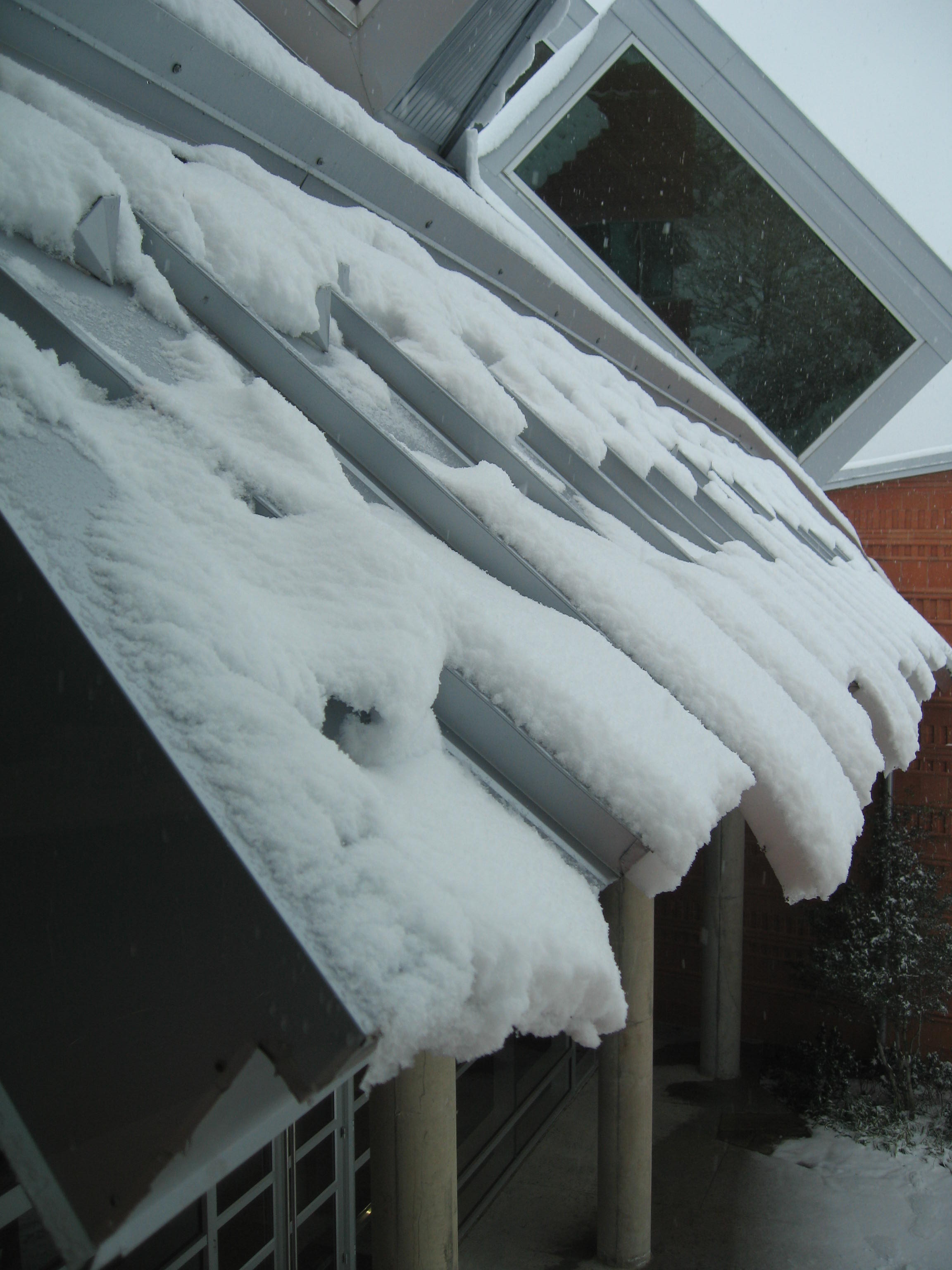 10.02.11 cedar hill snow scenes 014